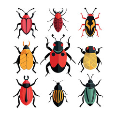 beetle Vector on a white background