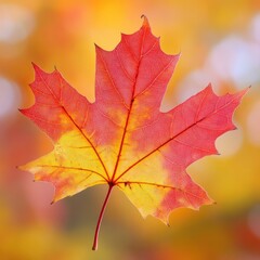 Fototapeta premium Vibrant Autumn Foliage. Abstract Maple Leaf in a Colourful Background