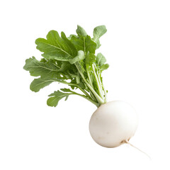Fresh white radish with green leaves, isolated transparent background