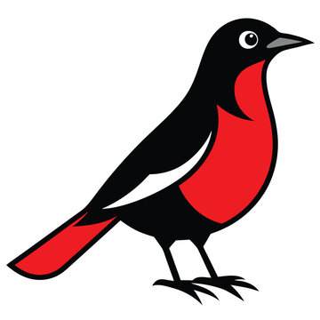 recommend clip art: Solid color Thrush animal vector design