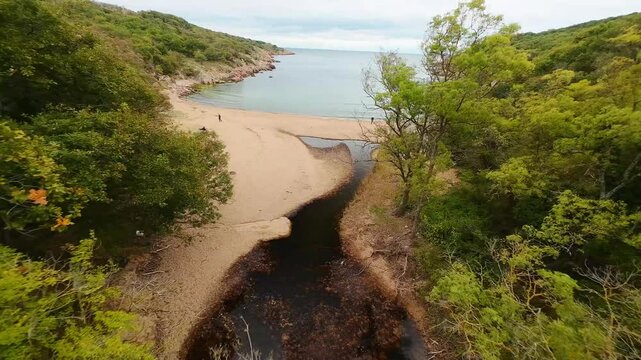 Aerial view over a small bay with a wild beach, located in the forest, Paraskeva Bay, Bulgaria