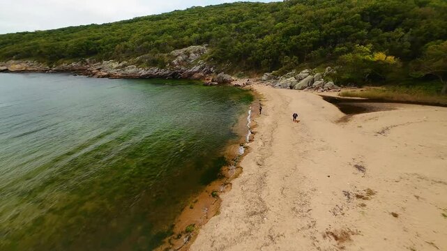 Aerial view over a small bay with a wild beach, located in the forest, Paraskeva Bay, Bulgaria