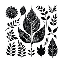 Leaf Silhouettes Set Collection vector