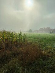 foggy morning © Patka