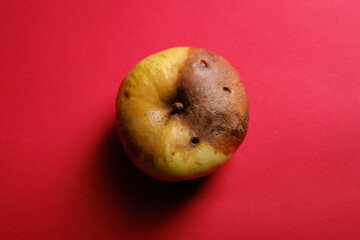 An old rotten apple on a red background, top view