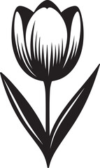 Tulip flower silhouette vector art illustration. Isolated on transparent background