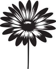 Daisy flower silhouette vector art illustration. Isolated on transparent background