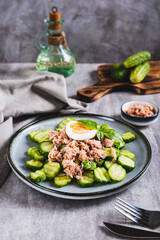 Appetizing salad of cucumber, canned tuna and egg on a plate on the table vertical view
