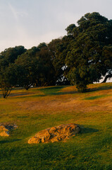 Fototapeta premium the nature of the Atlantic coast in Portugal