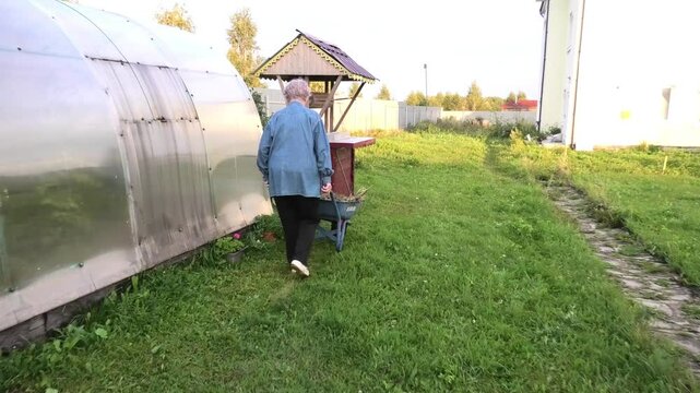 An elderly woman with a wheelbarrow walks past outbuildings on a summer evening