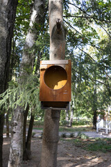 Birdhouse on a tall tree in the autumn forest