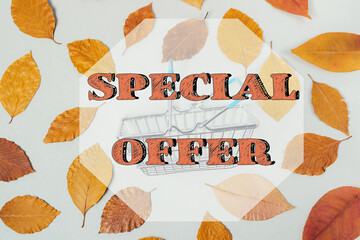 A special offer is displayed on a leafy background