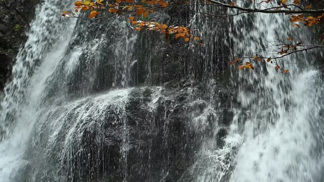 Closeup of a twofold waterfall with colorful leaves in autumn, slow motion, Josefsthaler Wasserf&auml;lle