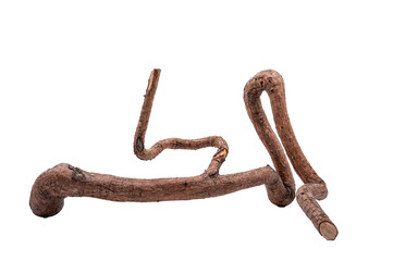 Obraz premium Curved tree root isolated on white background.