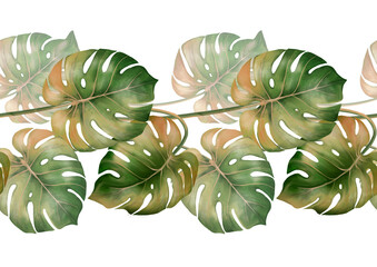 Tropical monstera leaves. Botanical illustration. Green seamless border © Gribanessa