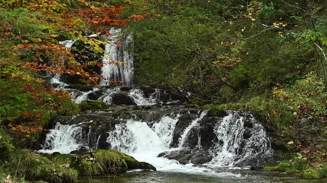 Cascading waterfalls in an autumn forest, slow motion, Josefsthaler Wasserf&auml;lle, Bavaria