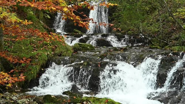Cascading waterfalls in an autumn forest, slow motion, Josefsthaler Wasserf&auml;lle