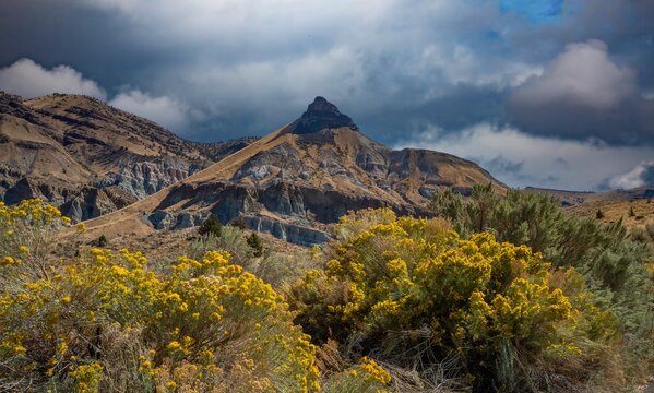 Sheep rock and rabbit brush in the Sheep Rock Unit of the John Day Fossil Beds National Monument