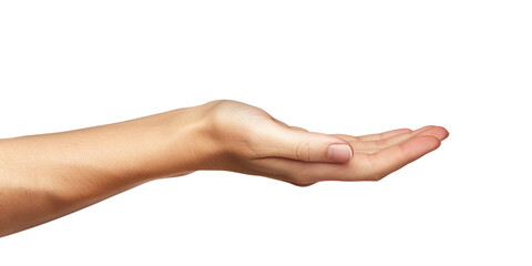 female hand holding something isolated on white or transparent png