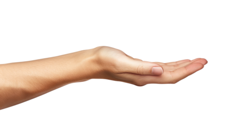 female hand holding something isolated on white or transparent png