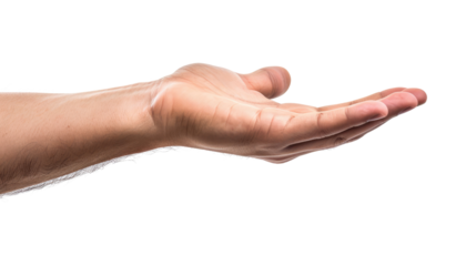 male hand holding something isolated on white or transparent png