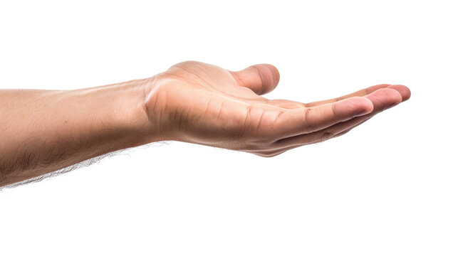 male hand holding something isolated on white or transparent png