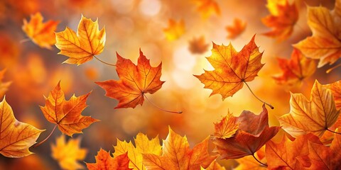 orange autumn leaves in close-up