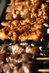 Satay on the grill