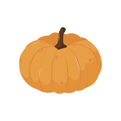 Organic natural orange pumpkin. Pumpkin season. Isolated illustration for card, postcard, cover. EPS 10