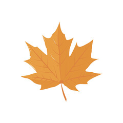  Vector cartoon  maple leaf.  Isolated illustration for card, postcard, cover. EPS 10