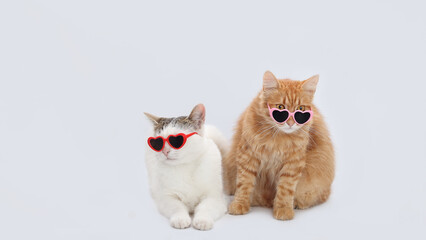 Two cats wearing heart-shaped sunglasses. white cat and orange cat sitting side by side, looking...