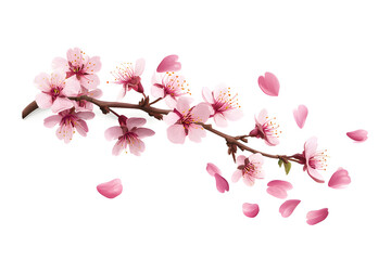 A vector illustration of a cherry blossom branch with pink petals gently falling, isolated on a white background