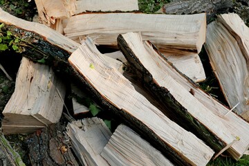 Heap of chopped wood logs in pile. Preparation of firewood for winter. 
