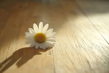Obraz premium daisy on wooden table
