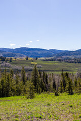 Fototapeta premium Scenic View of Wyoming's Rolling Hills and Forest