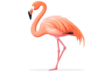 Obraz premium a flamingo standing on one leg, isolated on a white background
