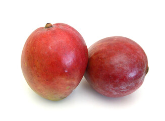 Mango fruits isolated on white background