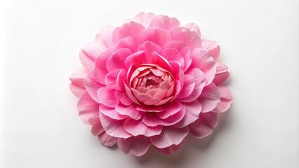 Symmetrical isolated single paper flower peony made from crepe paper