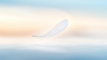   A white feather floats atop water, with a blurred sky as background