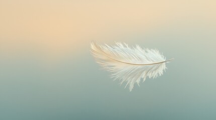   Blue and beige background blurred sky white feather floating air