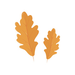 Vector cartoon  maple oak leaf. Isolated illustration for card, postcard, cover. EPS 10