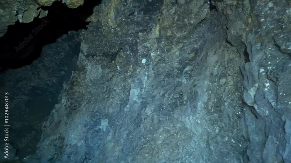 Poster formations of stalactites are growing from the ceiling of a dark cavern, illuminated faintly by ligh