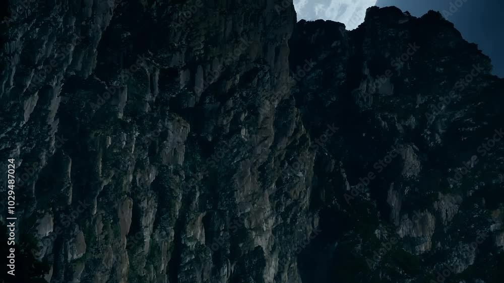 Poster dense forest blankets a valley floor as a towering rock face dominates the background, creating a dr