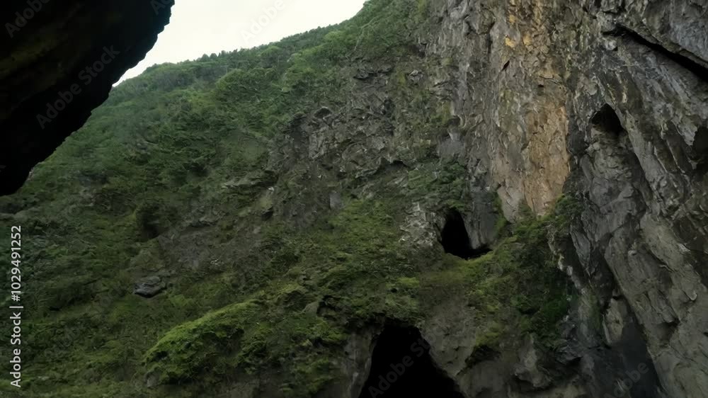 Poster mysterious cave entrances in a lush, tranquil landscape. dark, moss covered cliffs beckon exploratio