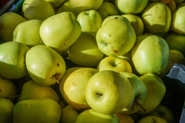 Fresh Green Apples Piled High in a Vibrant Farmer\'s Market Under Warm Afternoon Sunlight