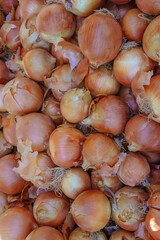 Freshly Harvested Onions Piled Together Showcasing Their Earthy Texture and Rich Color in a Rustic Market Setting
