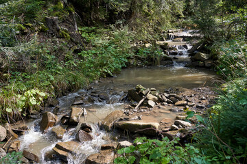 stream with stones and boulders in a coniferous forest in the Beskidy mountains