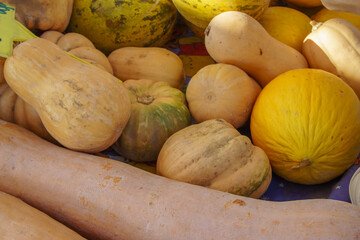 Colorful Assortment of Squash and Melons Displayed at a Local Farmers\' Market During the Autumn Harvest Season