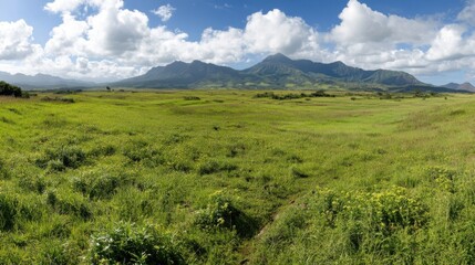 Tranquil spring panorama of lush green fields and majestic mountains for nature photography