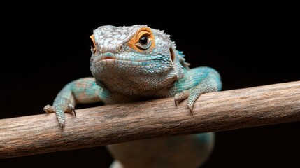Fototapeta premium Vivid glowing skin of a beautiful reptile for nature photography and digital media